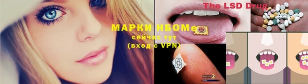 сатива Аркадак