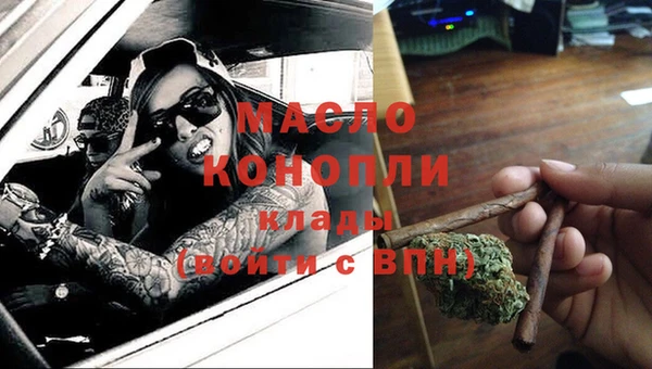 сатива Аркадак