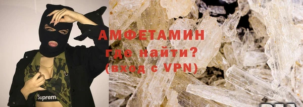 сатива Аркадак