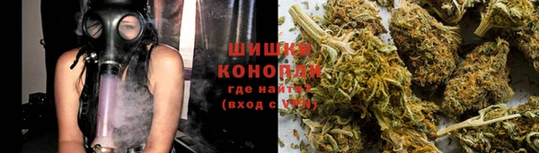 сатива Аркадак