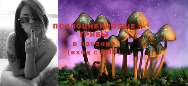 сатива Аркадак