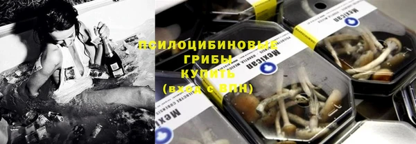 сатива Аркадак